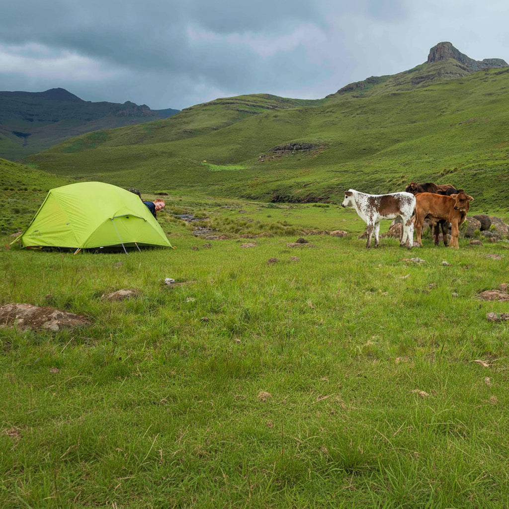Camping