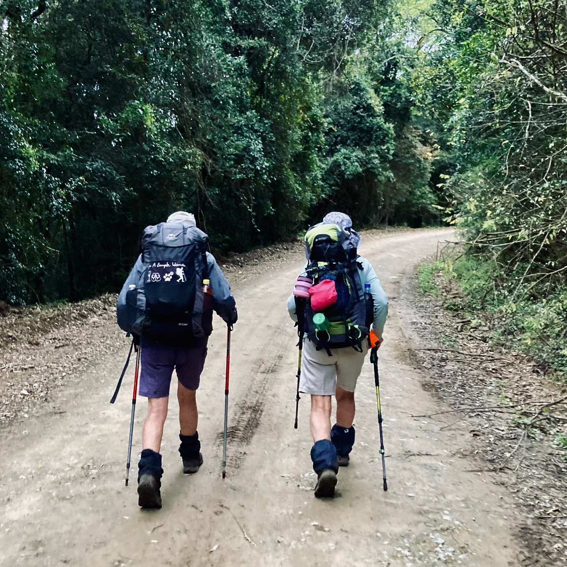 Hiking