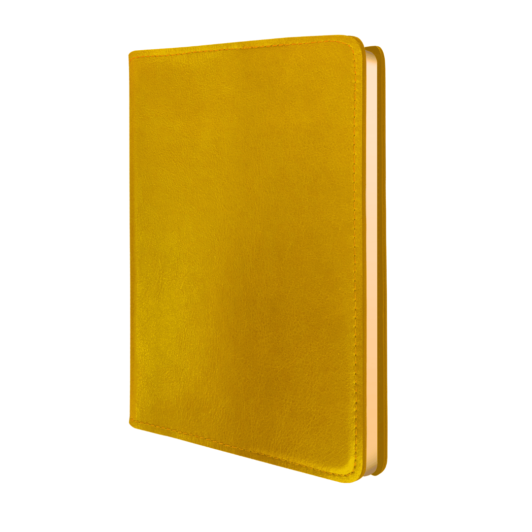 Colourful Rustik leather field journal